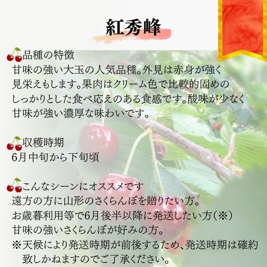 紅秀峰特選並び詰め700g | 【山形直送便】うんまいもの倶楽部
