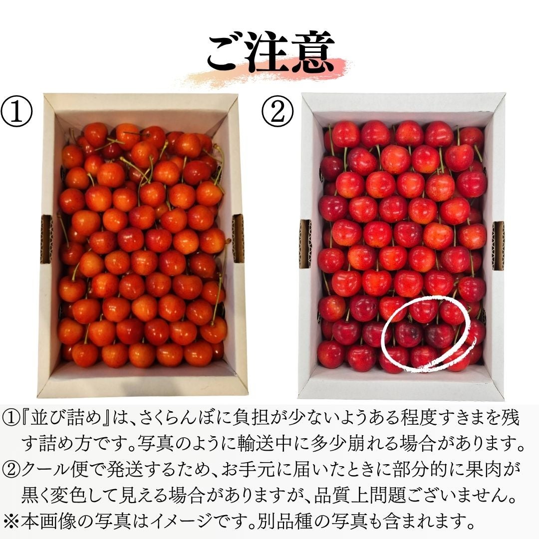紅秀峰特選並び詰め700g | 【山形直送便】うんまいもの倶楽部