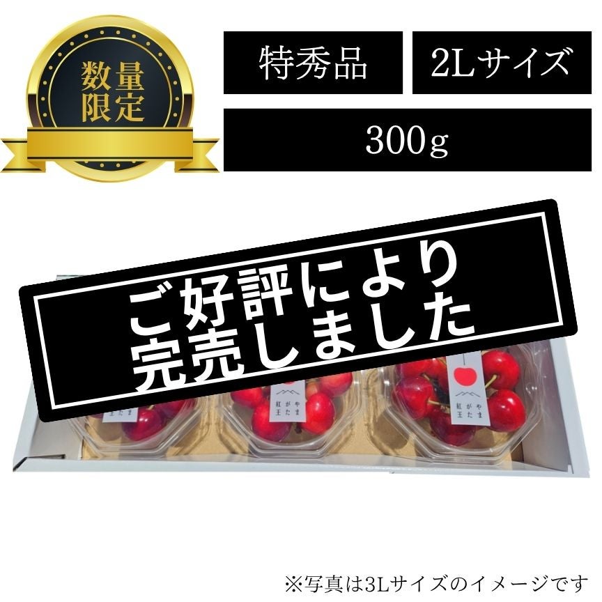 やまがた紅王ダイヤパック詰め(特秀2L)300g | 【山形直送便】うんまい