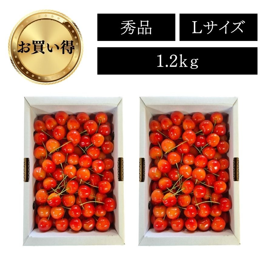 佐藤錦特選ﾊﾞﾗ詰(秀L) 1.2kg | 【山形直送便】うんまいもの倶楽部